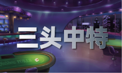 澳門6肖高速版V15334-中企新傳媒